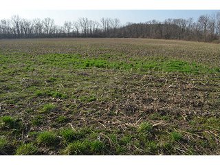 Property photo 24 - 77 +/- Acres Offered in 6 Tracts - Premier Estate Auction